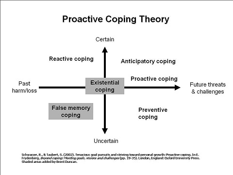 Schwarzer and Taubert identified four coping strategies that exist on planes between past harm and future threats, and certain or uncertain: reactive, anticipatory, preventive, and proactive 